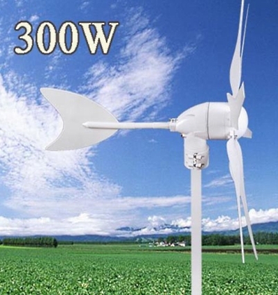SaferWholesale 300 Watt DC 12V 6 Blade Wind Turbine Generator