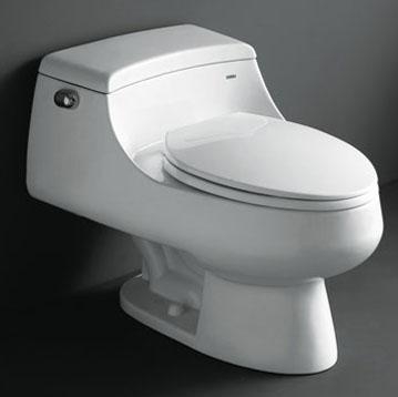 SaferWholesale Celeste - Royal Contemporary European Toilet
