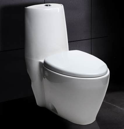 SaferWholesale Ariel 328 Contemporary European Toilet with Dual Flush