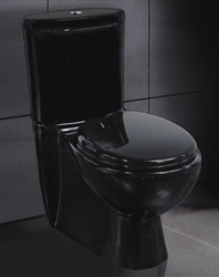 Ariel 8019 Black Contemporary European Toilet with Dual Flush