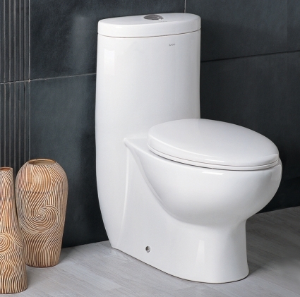 SaferWholesale The Hermes - Ariel Platinum AP309 Contemporary European Toilet