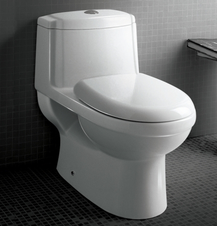 SaferWholesale The Anna - Ariel Platinum TB222M Contemporary European Toilet with Dual Flush