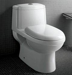 The Anna - Ariel Platinum TB222M Contemporary European Toilet with Dual Flush