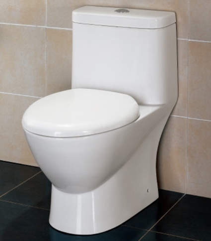 SaferWholesale The Adriana - Ariel Platinum TB346 Contemporary European Toilet with Dual Flush