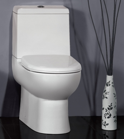 SaferWholesale The Camilla - Ariel Platinum Contemporary European Toilet with Dual Flush