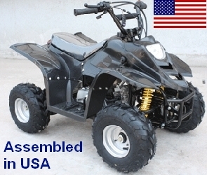 SaferWholesale 110cc Elite Fully Assembled Automatic ATV