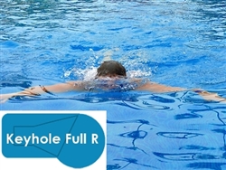 Complete 20x40 Keyhole Full R InGround Swimming Pool Kit with Polymer Supports