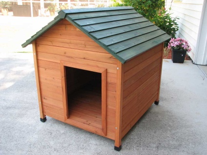 xxl dog house