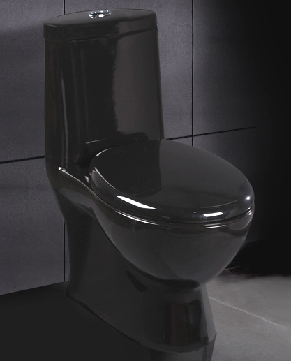  Black  Ariel Contemporary European Toilet  with Dual Flush