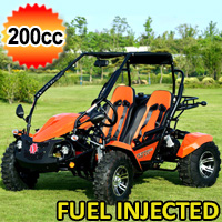 200cc Go Kart Fuel Injected Fully Automatic w/Reverse - Venture 200 EFI