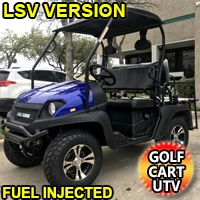 LSV Gas Golf Cart UTV Hybrid Linhai Big Horn 200 GVX Low Speed Vehicle Side by Side UTV With Custom Rims/Tires