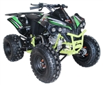 125cc Quad Utility 4 Stroke Fully Auto w/ Reverse ATV - ACE C125 CONQUEROR
