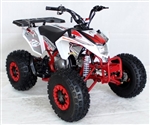 125cc Atv Fully Automatic w/Reverse Sport 4 Wheeler - EGL MADIX 125