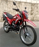 250cc Dirt Bike EFI 5 Speed Manual w/Electric & Kick Start - BD250-5-ll