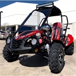 TrailMaster Blazer 200EX 200cc Size Go Kart 168.9cc 2 Seater Fully Automatic w/Reverse Dune Buggy