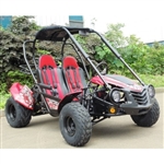 150cc Go Kart Trailmaster Blazer 150 Automatic Trans. With Reverse