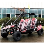 TrailMaster Blazer4 200EX 200cc Size Go Kart 168.9cc Full Size 4 Seater Fully Automatic w/Reverse Dune Buggy