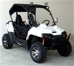 Trailmaster  Challenger 200x New UTV Hybrid 200cc Utility Vehicle Extended Challenger X Version W/Lights & Custom Rims/Tires