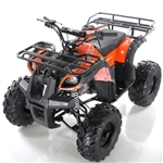 125cc Quad Focus 8 125cc Fully Automatic w/Reverse Sport ATV Four Wheeler - Focus 8