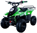 Hawk 110cc Atv Fully Automatic Mini Size Sport ATV 4 Wheeler - Hawk 6