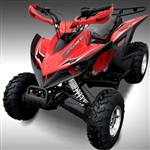 200cc Atv Flying Machine Atv Four Wheeler Utility Quad - MDL 200ASG-1
