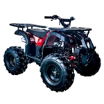 125cc ATV Kids Junior Four Wheeler - Rider 10