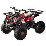125cc ATV Kids Junior Four Wheeler - Rider 8