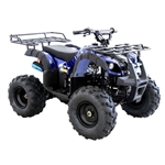 125cc ATV Kids Junior Four Wheeler - Rider 9