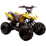 Coolster Brand New 110cc Fully Automatic Mini Size 4 Stroke ATV Four Wheeler - ATV-3050B