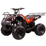 110 Quad Coolster Brand New 110cc Mini Size Fully Auto ATV Four Wheeler - ATV-3050D