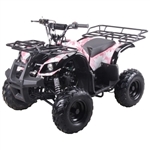 Coolster Atv Junior Size 125cc Mid Size Fully Auto Quad Four Wheeler - ATV-3125R