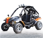 200cc Adult Go Kart Avenger Go Kart Fully Auto With Reverse W / Custom Rims/ Tires - Model  RPS-DF200GKR