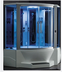 Elegant Steam Shower System