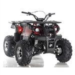 125cc Focus ATV Apollo Series Fully Auto w/Reverse & Big 19"/18" Wheels! - CALI LEGAL - FOCUS 10 DLX 125cc