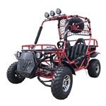 200 Rancher Go Kart 4 Stroke Gas Dune Buggy 170cc - RANCHER 200GK-2
