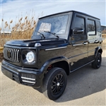 Coco Boxer Scratch & Dent Electric Golf Cart LSV 4 Passenger Low Speed Vehicle With AC & Heat - BLACK
