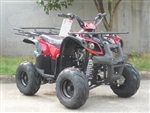 110cc Type X-SE ATV