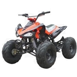 125cc Atv Automatic 4 Stroke Chain Drive ATV w/ Reverse