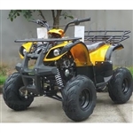 125cc Four Wheeler Adventure-SE ATV