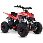 110 Atv Fully Automatic Sport BIGGER SIZE Quad 4 Wheeler - KD-110A-1  Fully Assembled A1