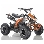 125cc ATV Apollo Series 4 Stroke Single Cyclinder Automatic Sport - ATV-120-125