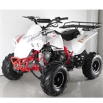 125cc Quad ATV Apollo Series 4 Stroke Single Cylinder Fully Automatic - ATV-121-125