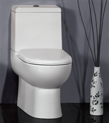 The Camilla - Ariel Platinum Contemporary European Toilet with Dual Flush