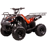 110 Quad Coolster Brand New 110cc Mini Size Fully Auto ATV Four Wheeler - ATV-3050D Fully Assembled