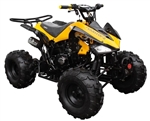 125cc Coolster Atv Intruder Midsize ATV W/Reverse -  ATV-3125CX-2 - Fully Assembled