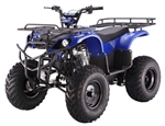 TaoTao Brand New 250D Utility ATV Air Cooled 4 Stroke Full Size Manual Transmission Four Wheeler