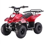 110cc Atv Quad Boulder Sport ATV 4 Wheeler