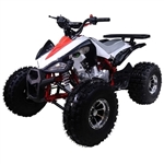 125cc Atv Cheetah Sport ATV 4 Wheeler with Automatic Transmission w/Reverse and 19"/18" Alloy Rims & Wheels