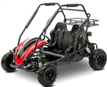200cc Wolf Fully Automatic 4 Stroke Kid's Go Kart