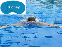 Complete 16'x32' Kidney In Ground Swimming Pool Kit with Polymer Supports
